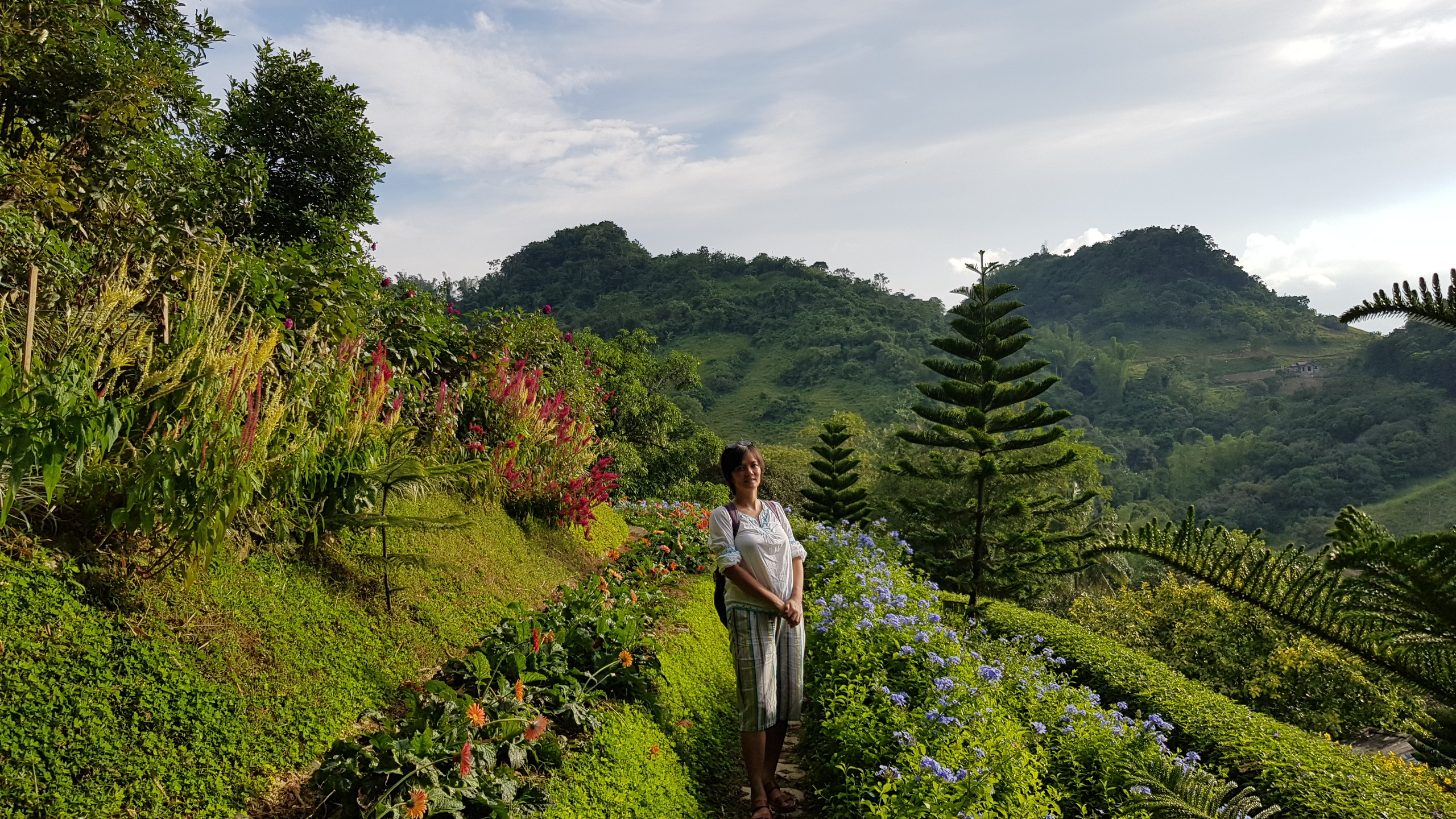 PHILIPPINES: Cebu City – Terrazas de Flores